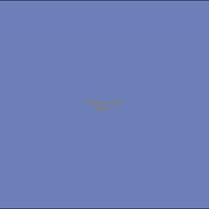 Example Product 2113