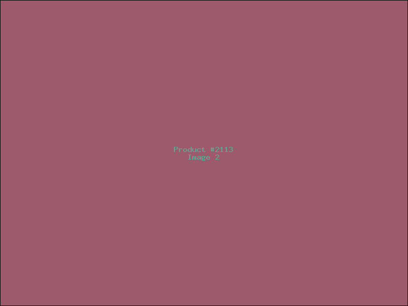Example Product 2113 - Image 2
