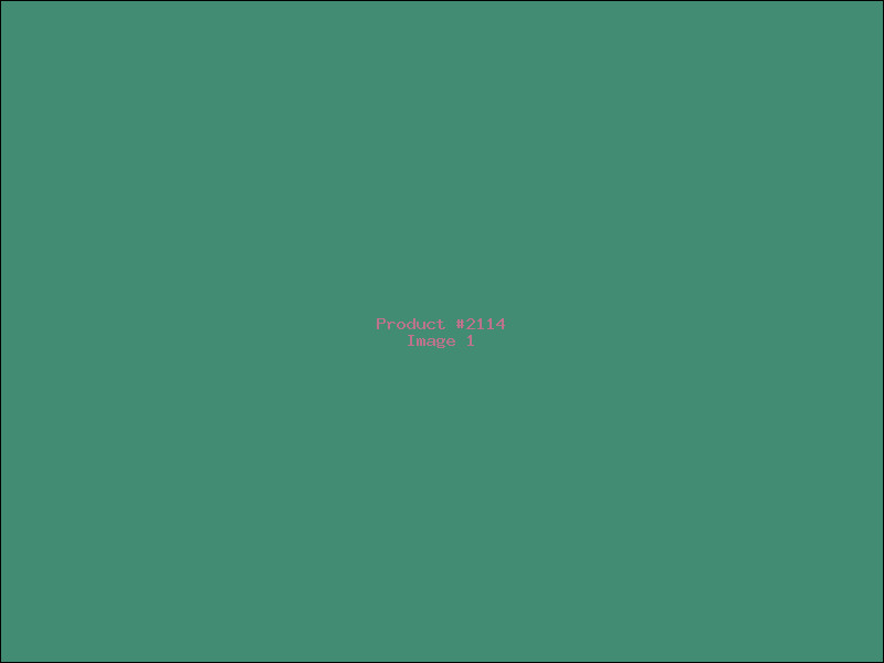 Example Product 2114