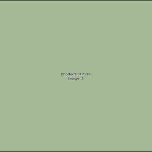 Example Product 2118
