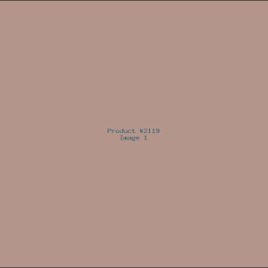 Example Product 2119