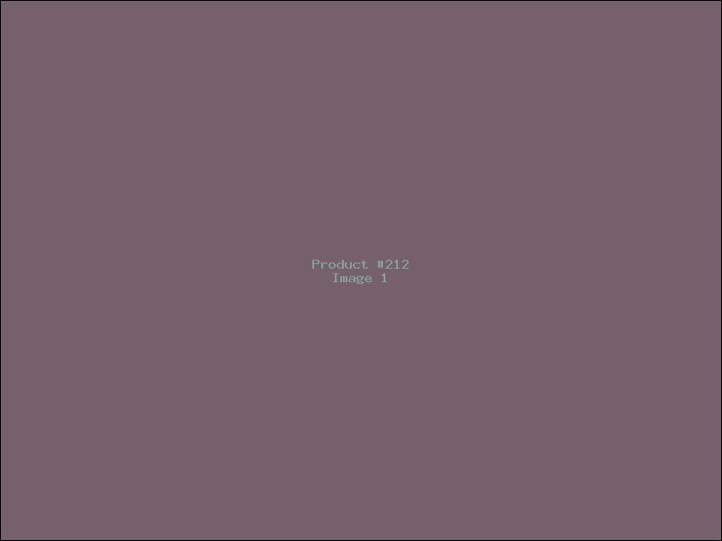 Example Product 212