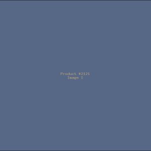 Example Product 2121