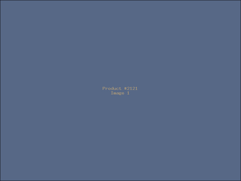 Example Product 2121