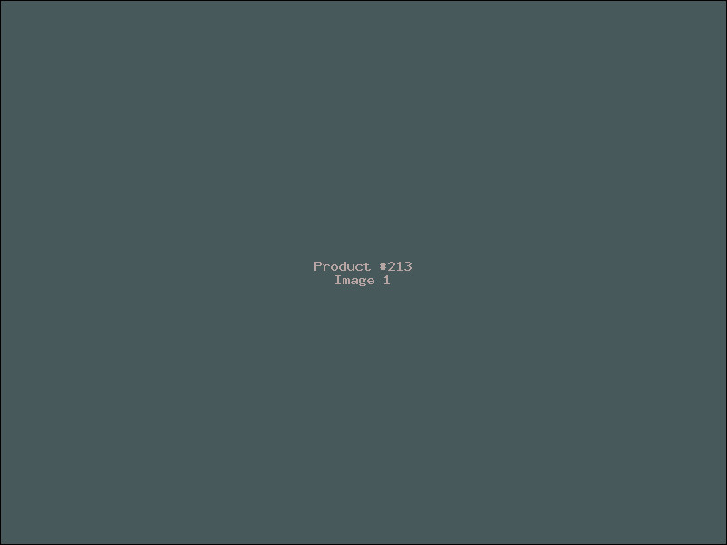 Example Product 213