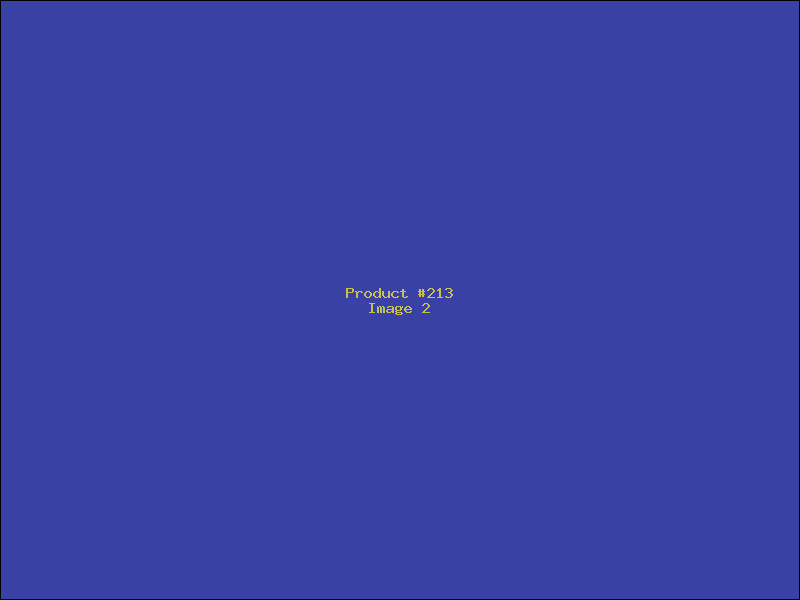 Example Product 213 - Image 2