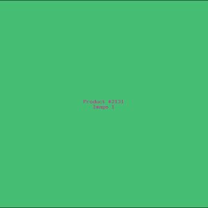 Example Product 2131