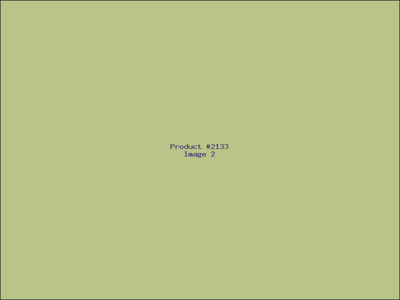 Example Product 2133 - Image 2