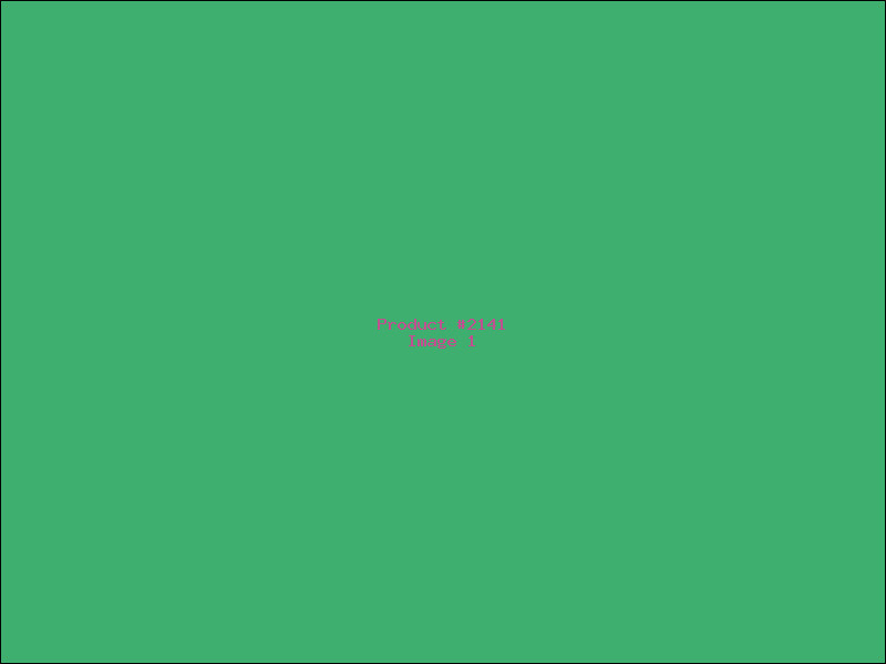 Example Product 2141