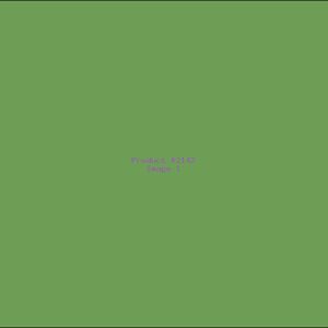 Example Product 2142