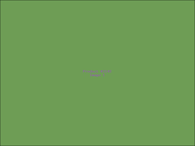 Example Product 2142