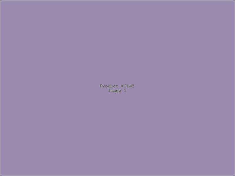 Example Product 2145