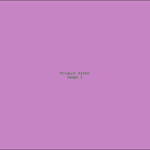 Example Product 2160
