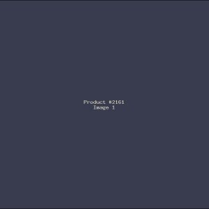 Example Product 2161
