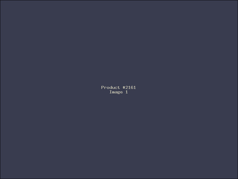 Example Product 2161