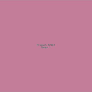 Example Product 2163