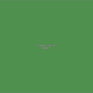 Example Product 2168