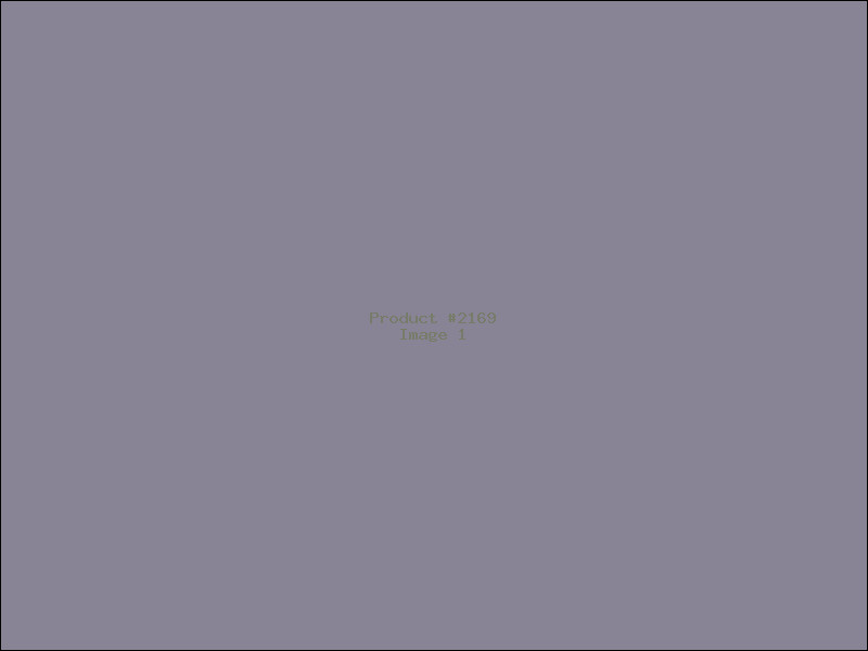 Example Product 2169
