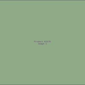 Example Product 2178