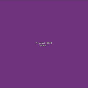 Example Product 218