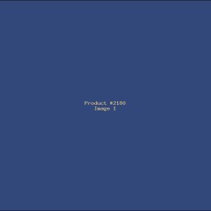 Example Product 2180