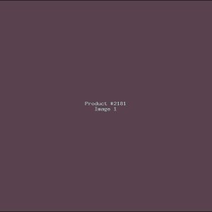 Example Product 2181