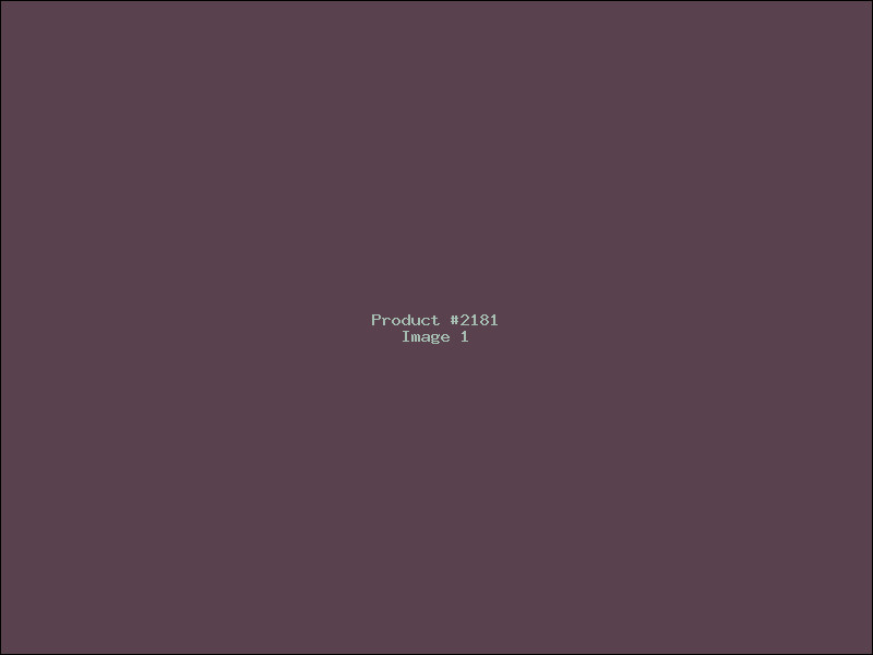 Example Product 2181