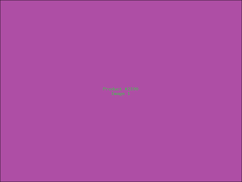 Example Product 2190