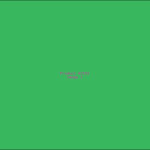 Example Product 2191