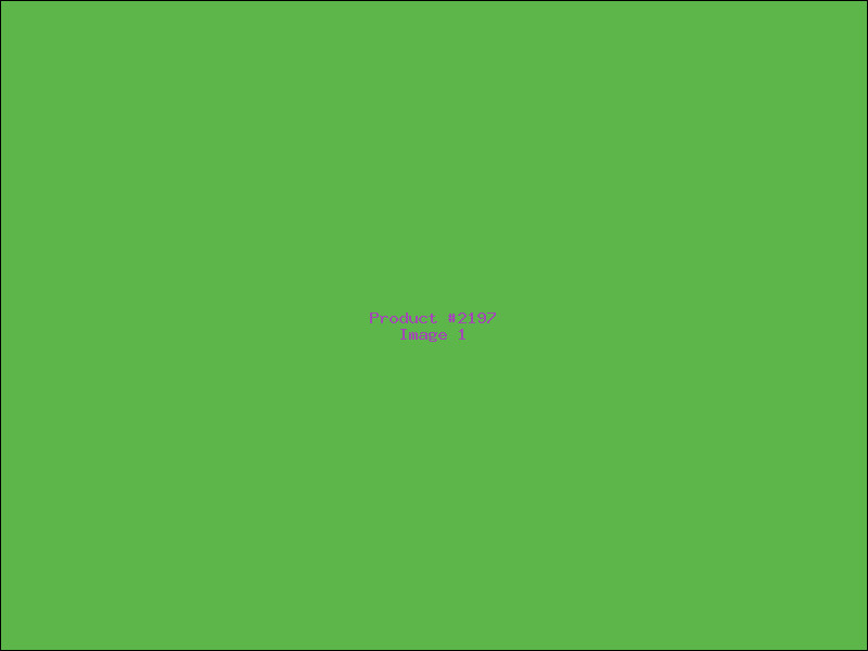 Example Product 2197