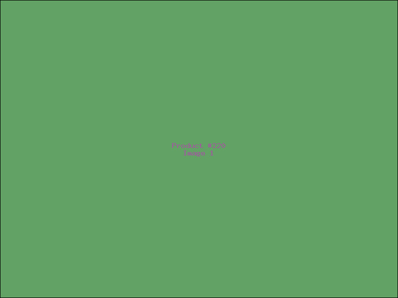 Example Product 220