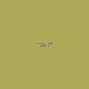 Example Product 2202