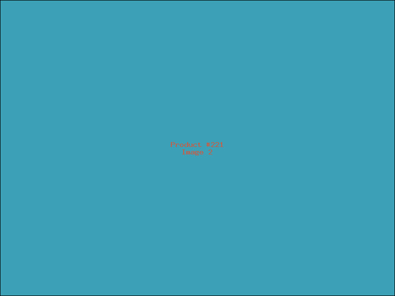 Example Product 221 - Image 2