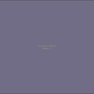 Example Product 2213