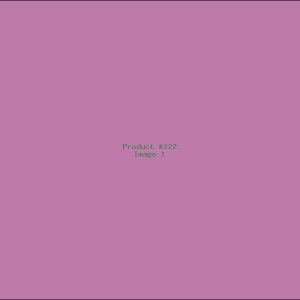Example Product 222