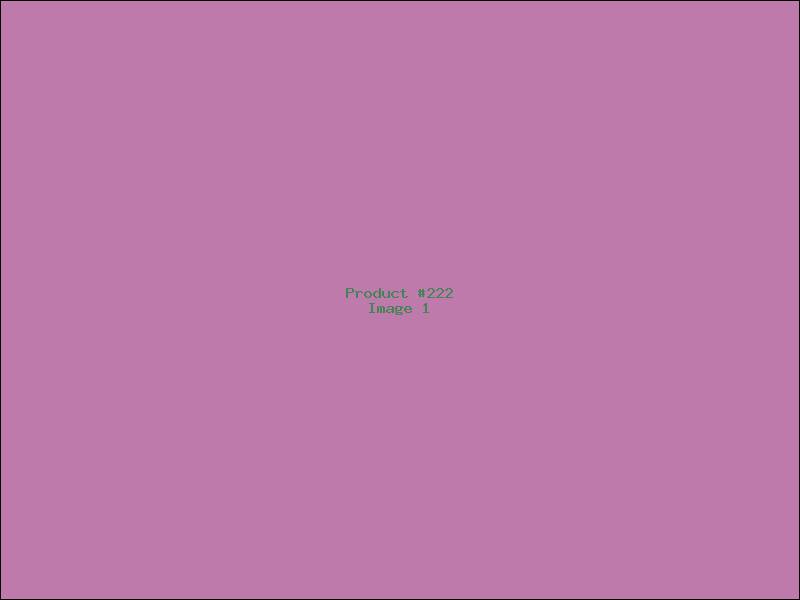 Example Product 222