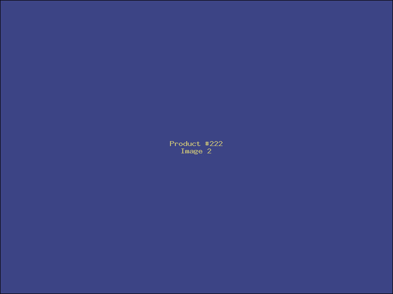 Example Product 222 - Image 2
