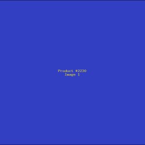 Example Product 2230