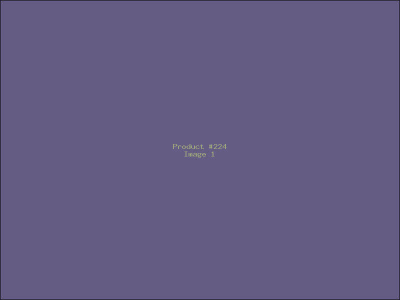 Example Product 224