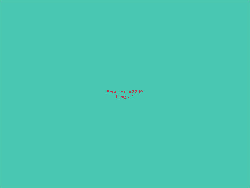 Example Product 2240