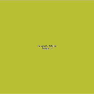 Example Product 2241