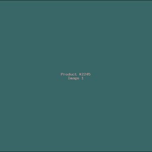 Example Product 2245