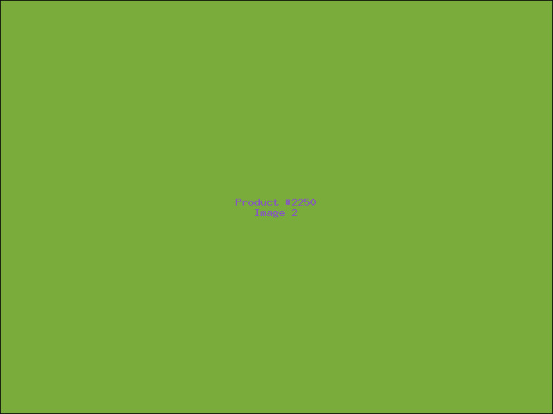 Example Product 2250 - Image 2