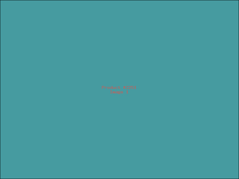 Example Product 2251