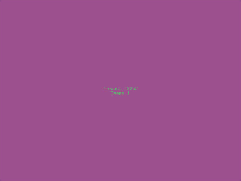 Example Product 2253