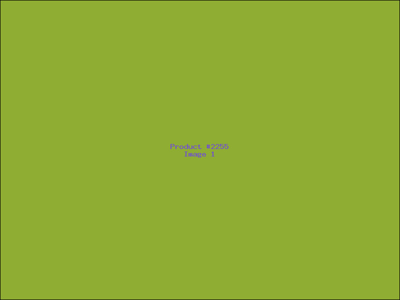 Example Product 2255
