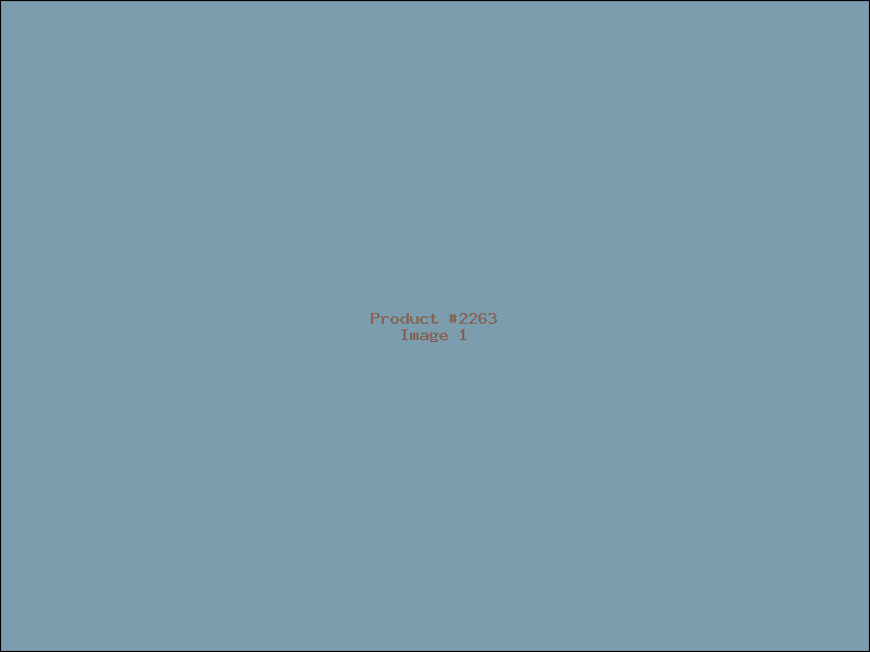Example Product 2263