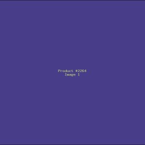 Example Product 2264