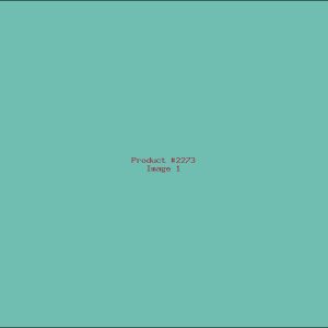 Example Product 2273