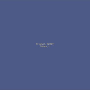 Example Product 2280